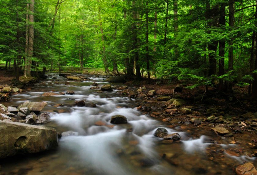 Linn Run State Park, Pennsylvania, USA